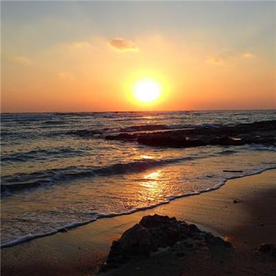 小罗代言的M6米乐APP下载