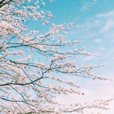 B体育旧版本官网下载苹果