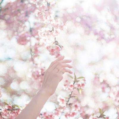 足球滚球的正规平台app