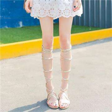 博鱼·(boyu)体育官方网站